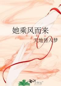 乘凤而来