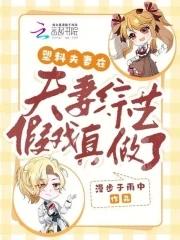 夫妻综艺嘉宾