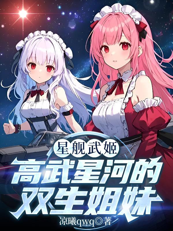 关于星舰的