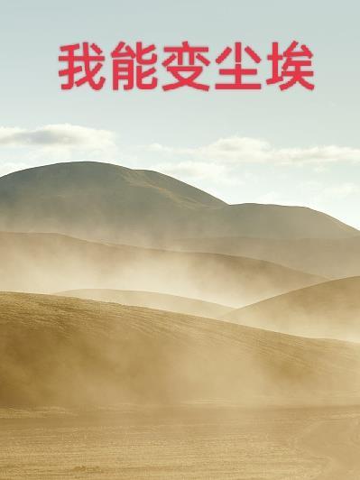 当钻石变尘埃