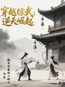 穿越到综武世界的