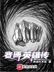 赛博英雄传量级