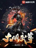 大明之武王