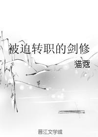 被迫转职的剑修的cp