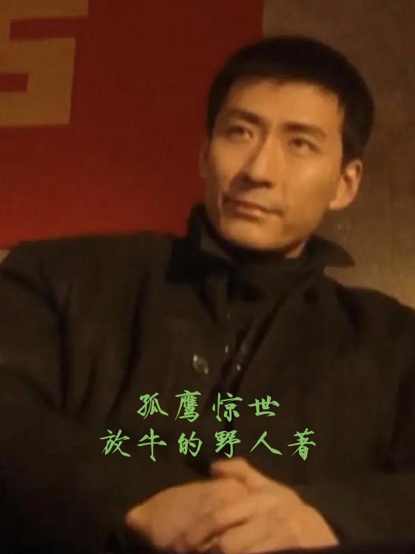 孤鹰在线阅读
