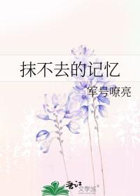 抹不去的回忆作文500字五年级