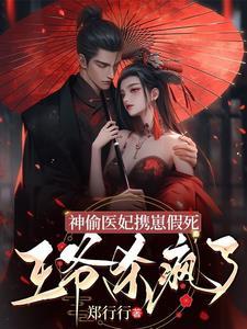 神偷王妃乖一点无弹窗