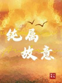 纯属意外什么意思啊