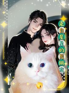折星星送给男朋友的话