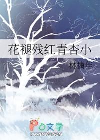 花褪残红青杏小全词