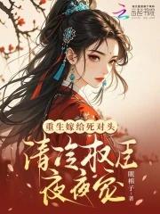 重生嫁给死对头abo