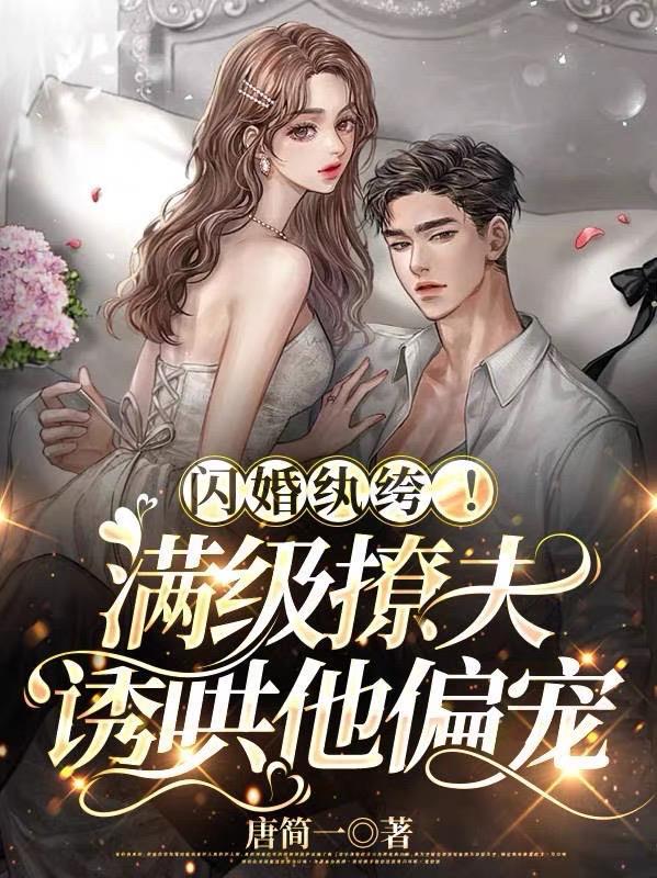 闪婚宠妻的所有