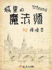 城里的魔法师TXT百度全本