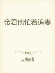 帝君的追妻日常