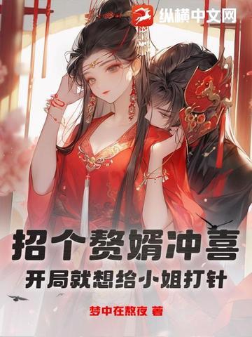 招个女婿来上门