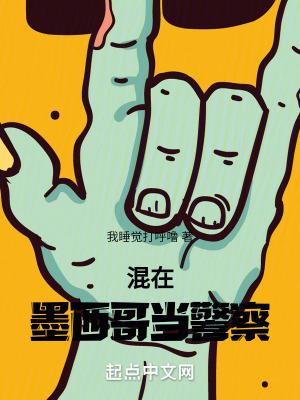 墨西哥边境警察