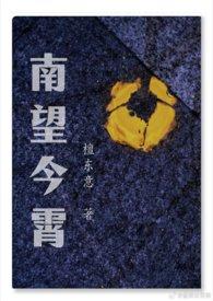 南望今霄免费阅读