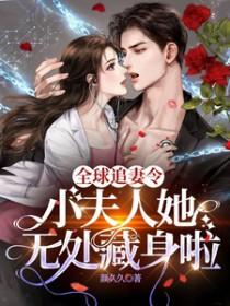全球追妻令老婆离婚无效全文免费阅读无弹窗