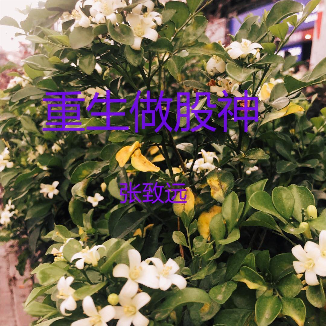 女侠dc