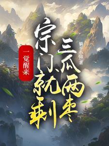 书旗