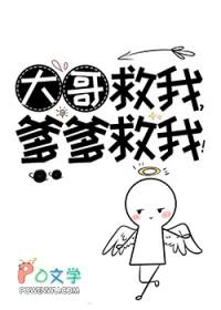 宝可梦开局绑定秒杀系统 第501章